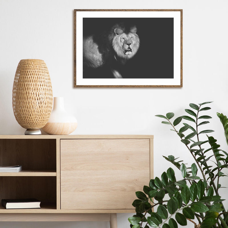 Lion Walking into Frame mood picture
