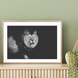 Lion Walking into Frame mood picture