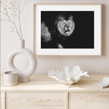 Lion Walking into Frame mood picture