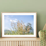 Reeds in the Wind mood picture