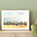 The Olive Farm mood picture