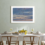 Seagulls Soaring mood picture