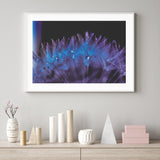 Purple Dandelion I mood picture