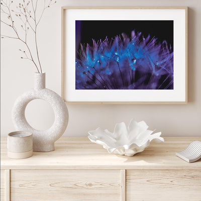Purple Dandelion I mood picture