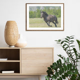 Horse in Meadows mood picture