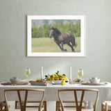 Horse in Meadows mood picture