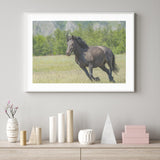 Horse in Meadows mood picture