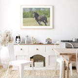 Horse in Meadows mood picture