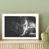 Black Cat mood picture