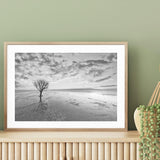 Tree with a View I mood picture