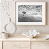 Tree with a View I mood picture