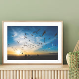 Land, Sea and Air mood picture