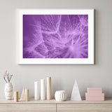 Purple Dandelion II mood picture