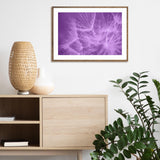 Purple Dandelion II mood picture
