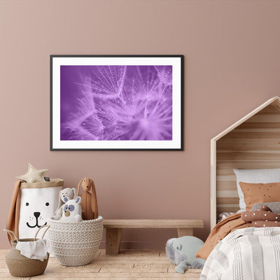 Purple Dandelion II mood picture