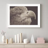 Bird of Prey mood picture