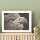 Bird of Prey mood picture