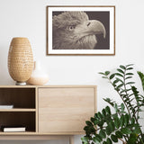 Bird of Prey mood picture