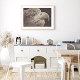 Bird of Prey mood picture