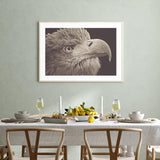 Bird of Prey mood picture