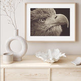 Bird of Prey mood picture