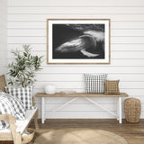 Playful Whale mood picture