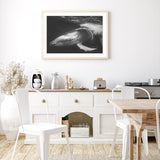 Playful Whale mood picture