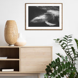 Playful Whale mood picture