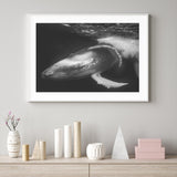 Playful Whale mood picture