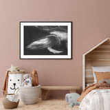 Playful Whale mood picture