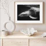 Playful Whale mood picture