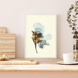 Hydrangea on Yellow mood picture