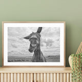Cheeky Donkey mood picture