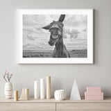 Cheeky Donkey mood picture