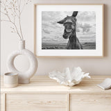 Cheeky Donkey mood picture