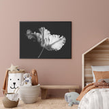 Ballet Tulip mood picture