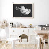 Ballet Tulip mood picture