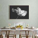 Ballet Tulip mood picture