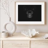 Bark in Black mood picture