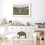 Icelandic Horse in the Meadow mood picture