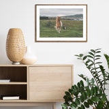 Icelandic Horse in the Meadow mood picture