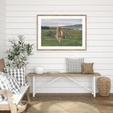 Icelandic Horse in the Meadow mood picture