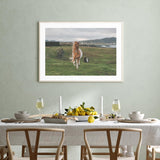 Icelandic Horse in the Meadow mood picture