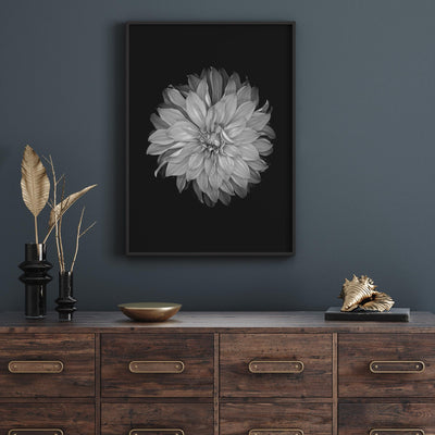 Dahlia on Black mood picture