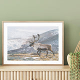 I Rein the Mountains mood picture