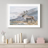 I Rein the Mountains mood picture