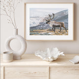 I Rein the Mountains mood picture