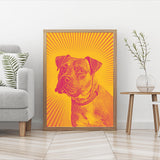 Bark Sun Rising mood picture