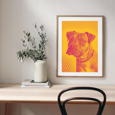 Bark Sun Rising mood picture