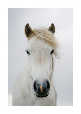 A beautiful blonde 50x70 cm